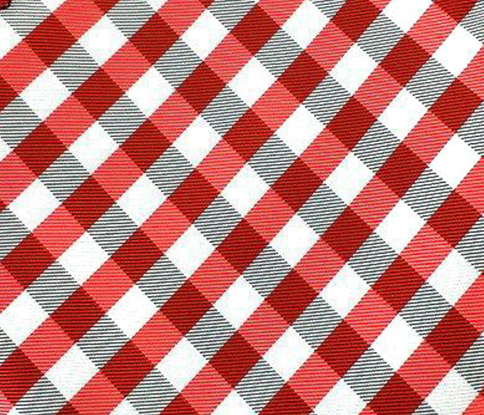 gingham red swatch