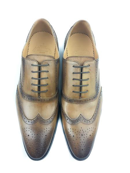 Oxford Brogue Wingtip - Brown