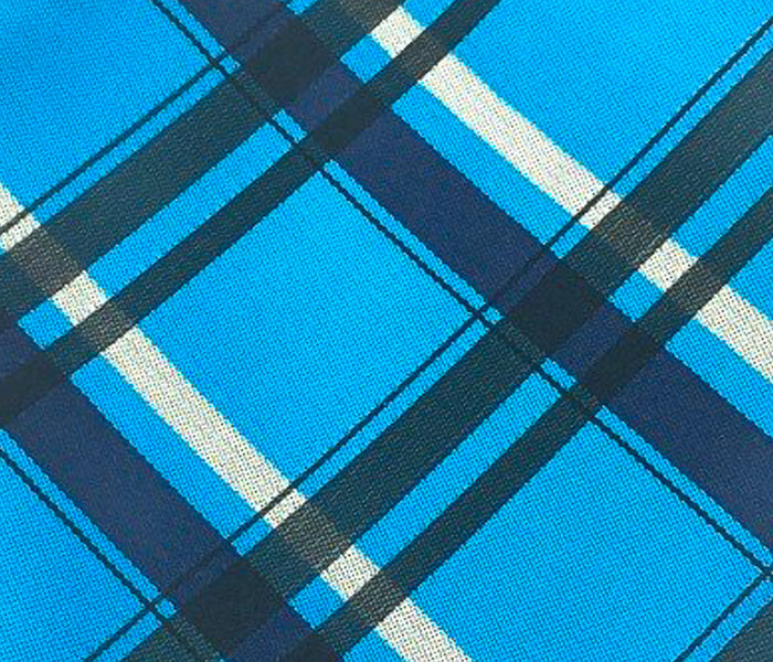 blue black check stripe swatch