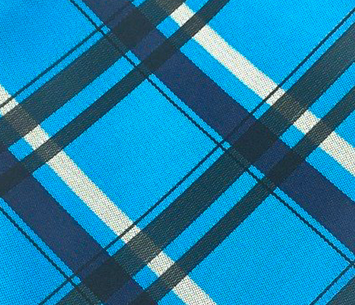 black check blue swatch